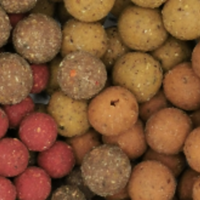 Hookbaits & boilies