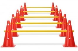 5 delige pion/ kegel horden set