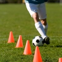 Pionnen 30 cm oranje